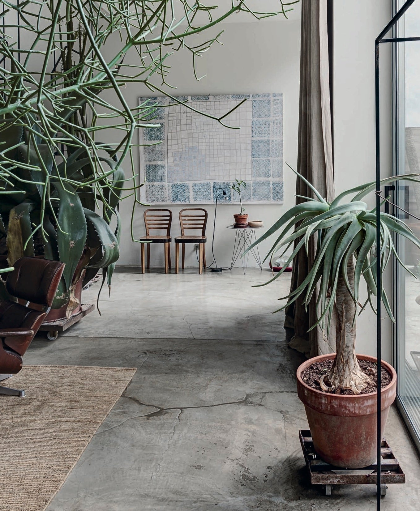 Ultimate Wonder Plants: Your Urban Jungle Interior