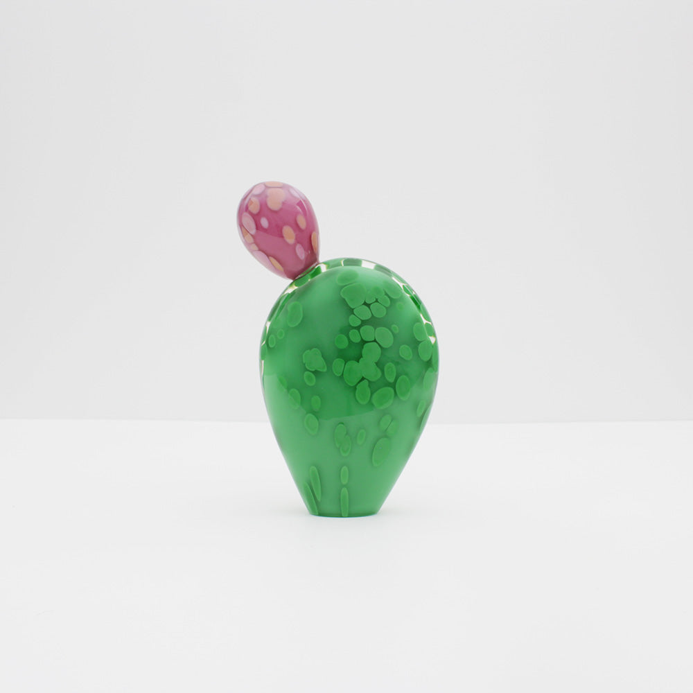 Prickly Pear with 1 Bud