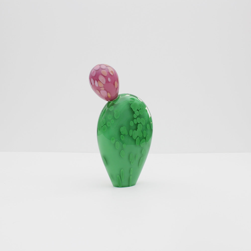 Prickly Pear with 1 Bud