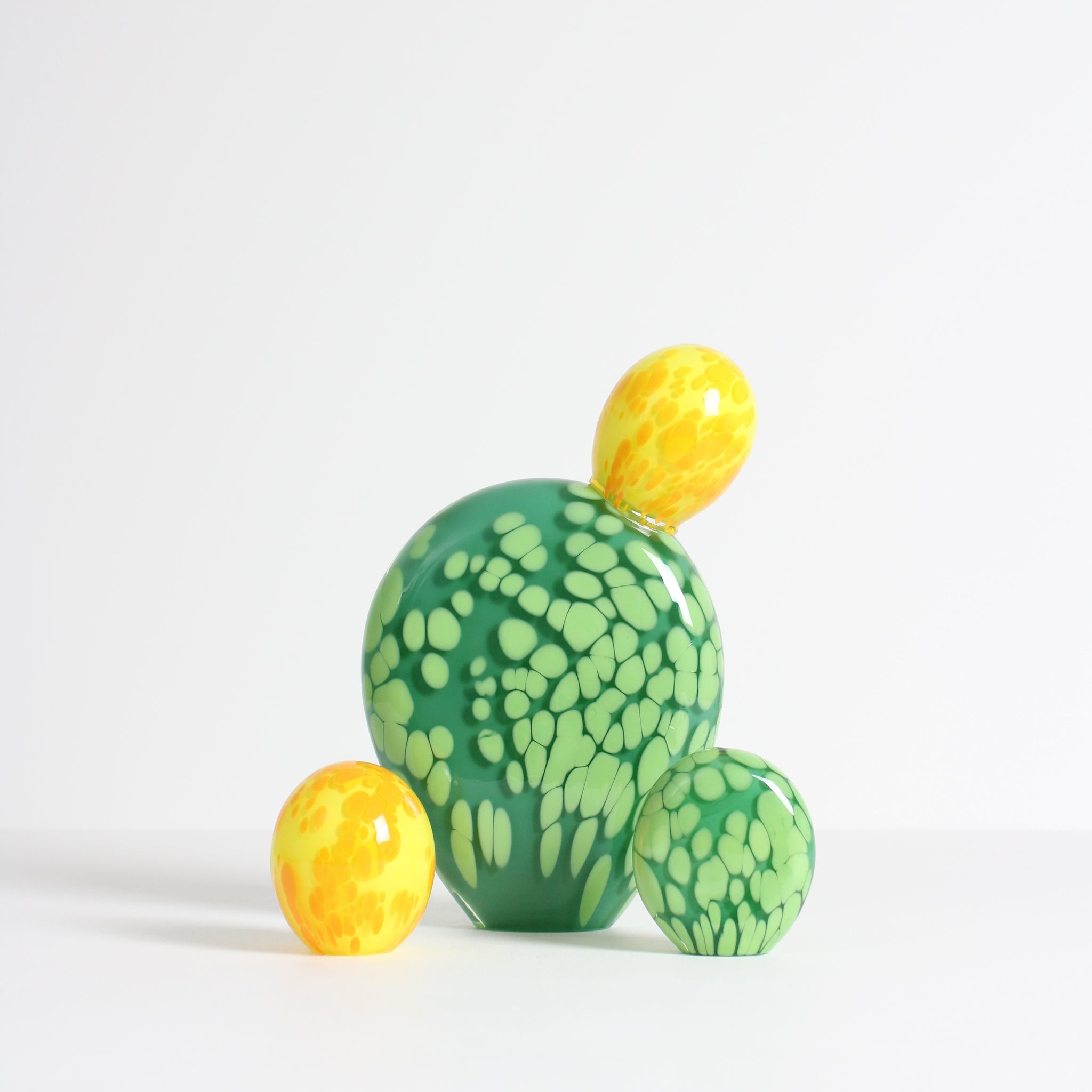 Yellow Prickly Pear Flower Bud