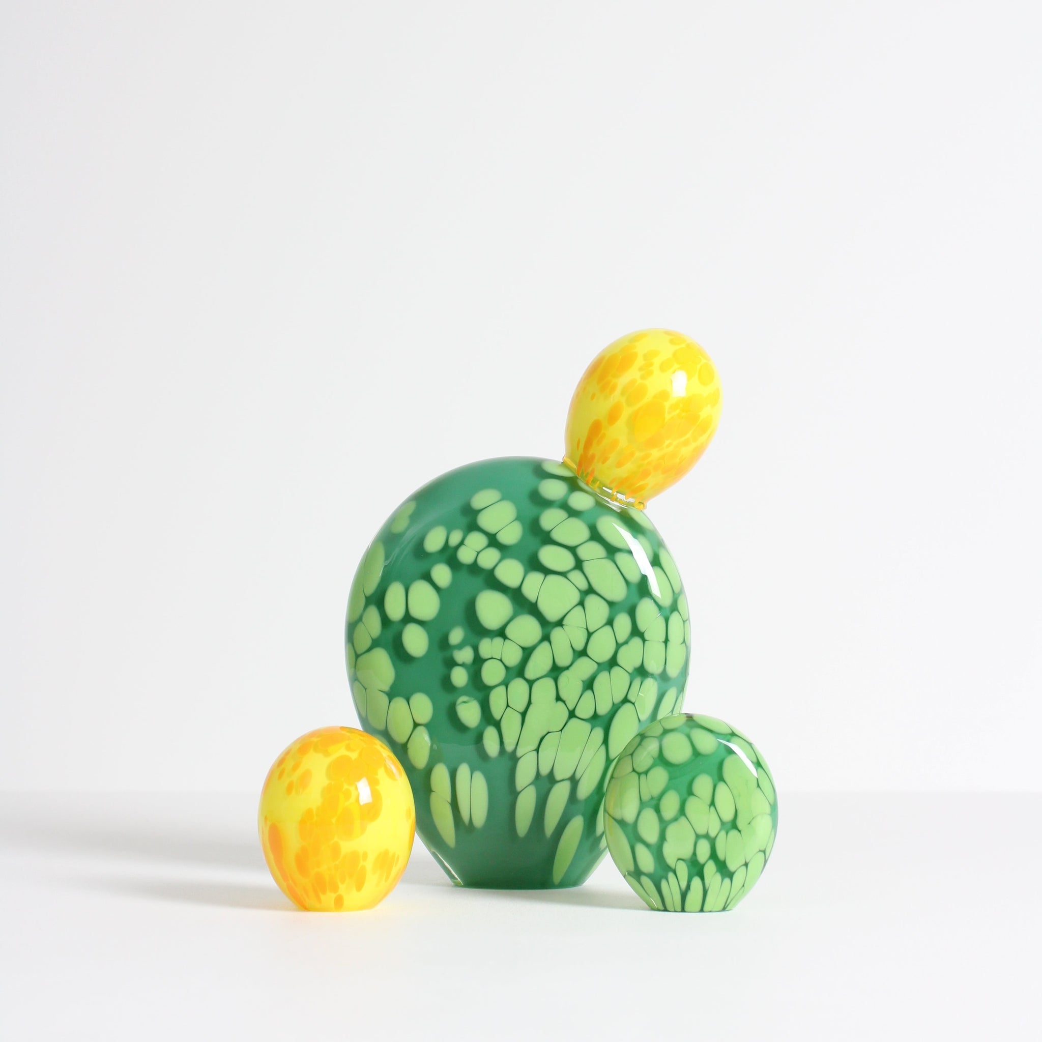 Dark Green Prickly Pear Leaf