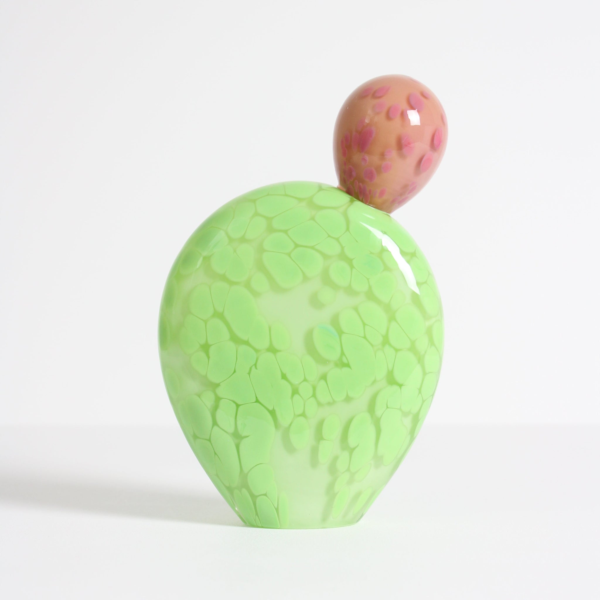 Light Green Prickly Pear with Pink Bud