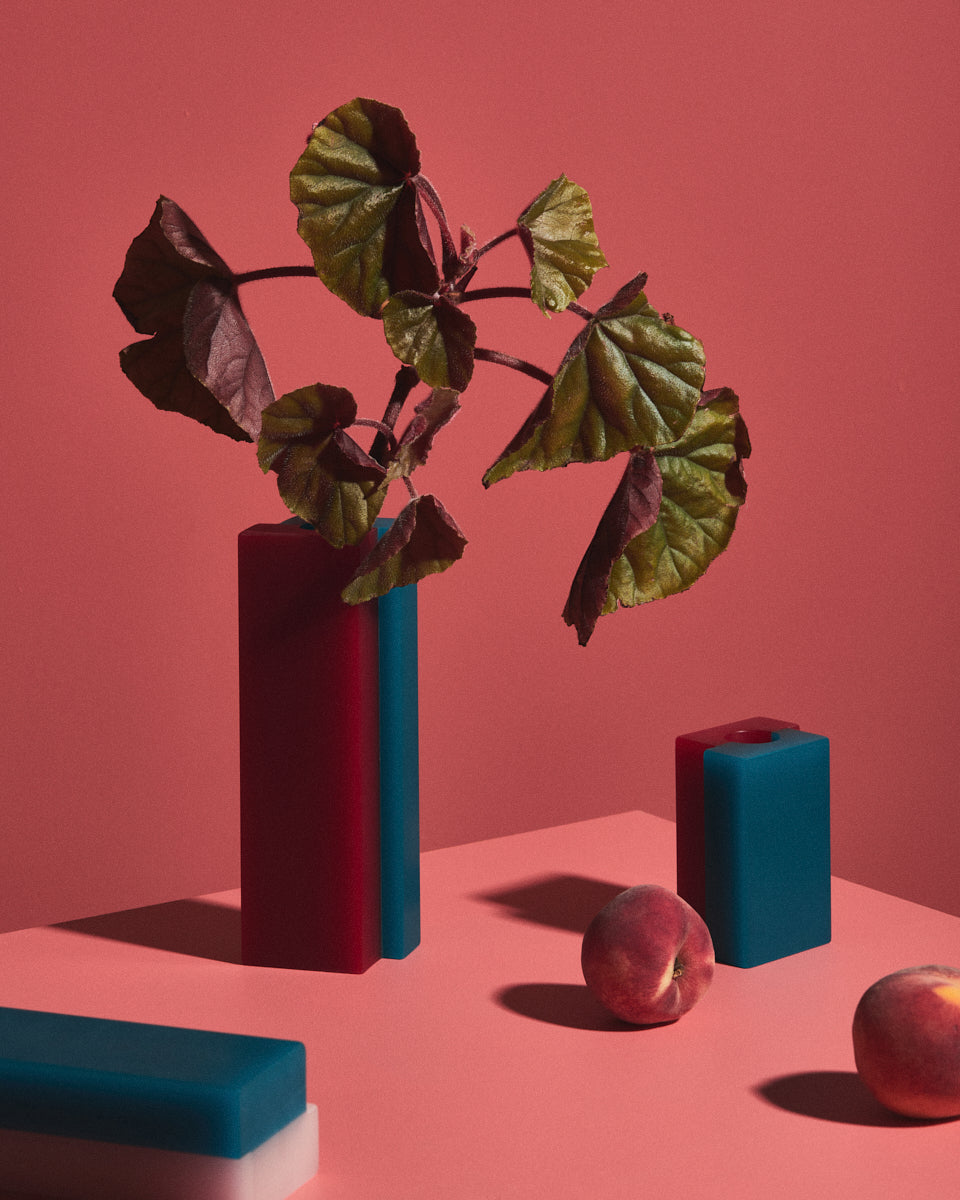 Vase Versa in Pink/Blue